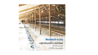 Hontech Wins Is Good at Providing Poultry Lights, Isn't It