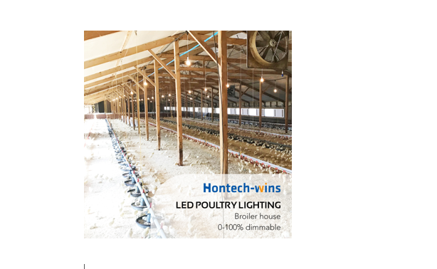 Hontech Wins Is Good at Providing Poultry Lights, Isn't It